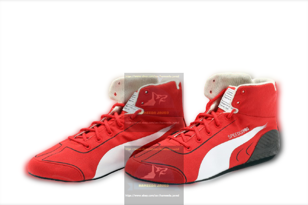 2020 Charles Leclerc Racing Shoes F1 Boots Race Karting Shoes F1 Shoes Go Kart