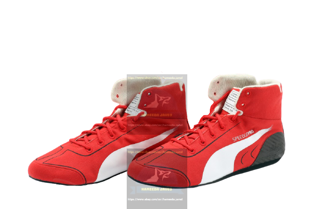 2020 Charles Leclerc Racing Shoes F1 Boots Race Karting Shoes F1 Shoes Go Kart