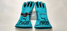 Load image into Gallery viewer, 2014 Nico Rosberg Racing Gloves F1 Nico Gloves Karting Gloves Go Kart Gloves
