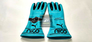 2014 Nico Rosberg Racing Gloves F1 Nico Gloves Karting Gloves Go Kart Gloves